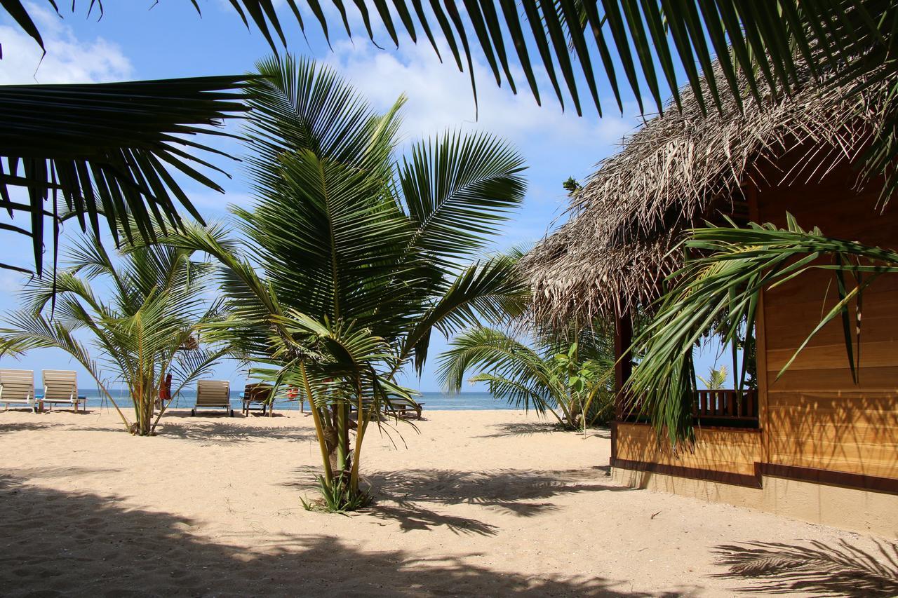Shiva'S Beach Cabanas Тангалла Экстерьер фото